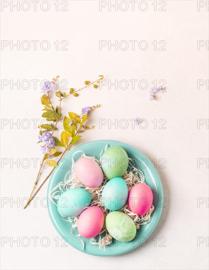 Bright eggs plate near flower twig