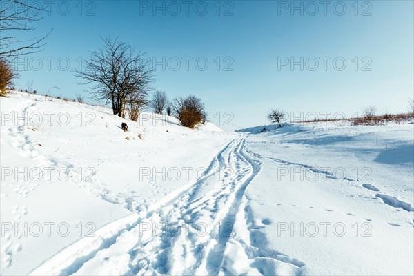 Wintry landscape scenery with modified cross country skiing way