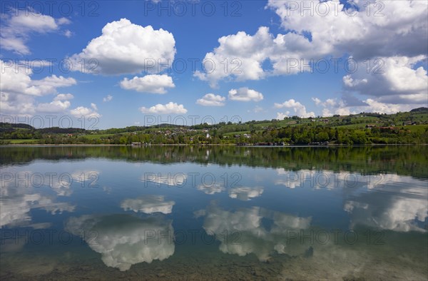 (Cumulus) clouds reflected in the Irrsee, Zell am moss, Salzkammergut, Upper Austria, Austria, Europe