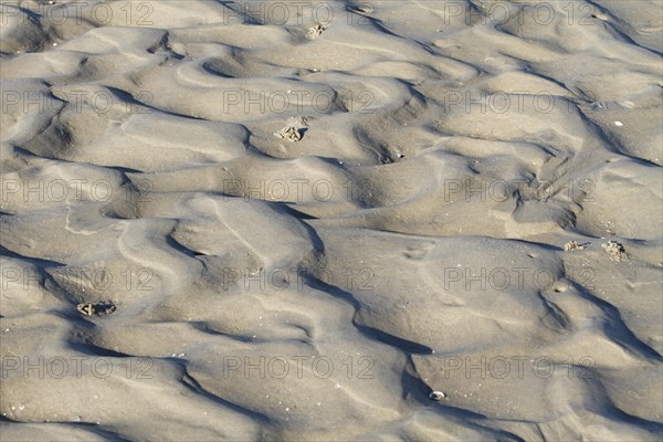Ripple marks in the mudflats off Minsener Oog Island