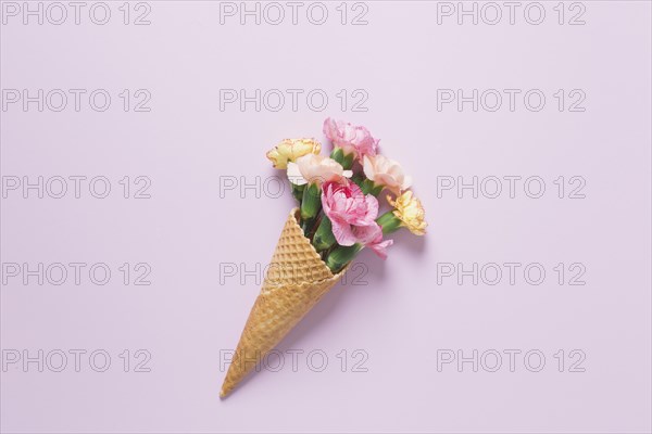 Carnations waffle cone