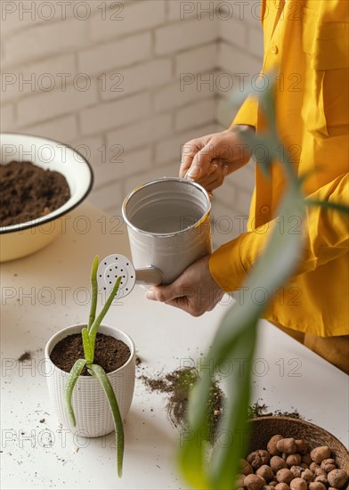 Young woman yellow shirt gardening home