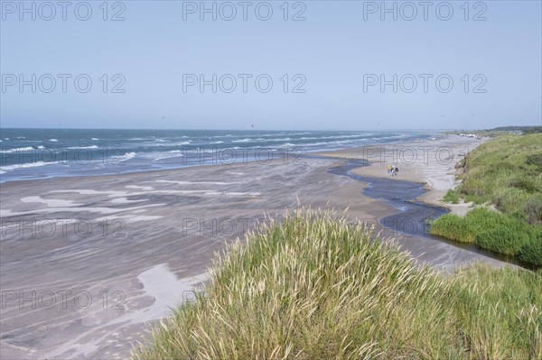 Dunes and sandy beach by the sea