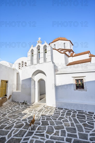 Cat in front of archway with bells of Agios Antonios chapel and Greek Orthodox church Metamorfosi Sotiros
