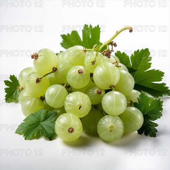 Gooseberries