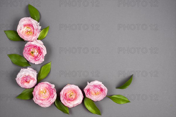 Pink curved volumetric flowers