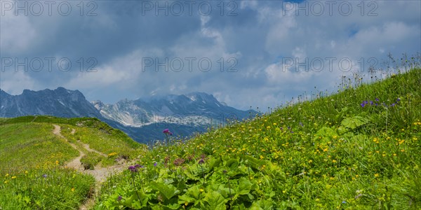 Mountain panorama from Laufbacher Eck-Weg