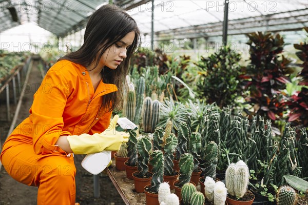 Young female gardener spraying water succulent plants greenhouse