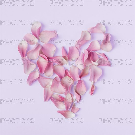 Heart shape from roses petals