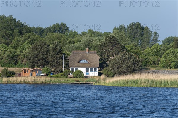 Thatched house