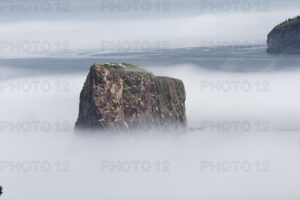 Fog at Perce Rock