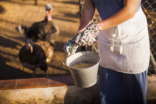 Close up woman feeding hens