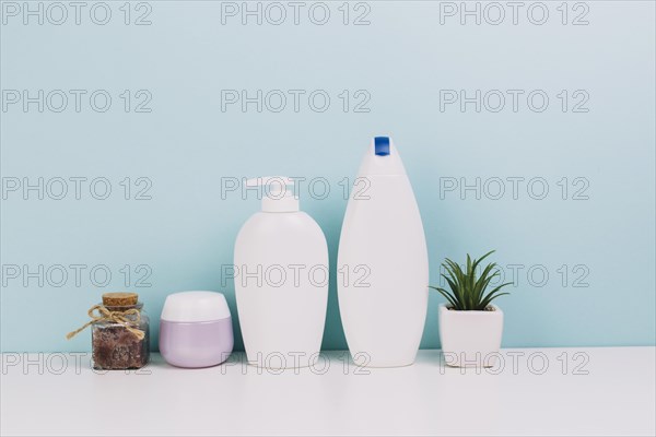 Plant near cosmetics bottles jar