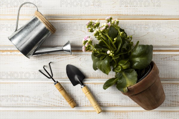 Watering can flower pot