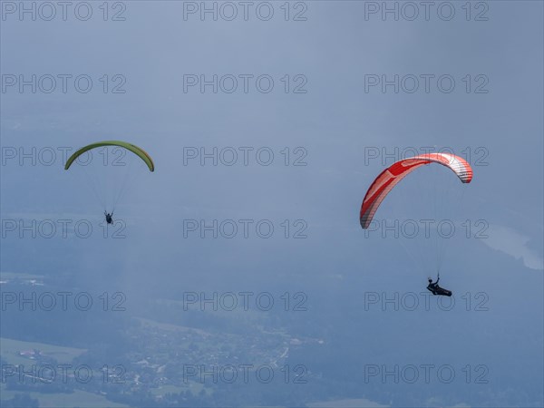 Paraglider