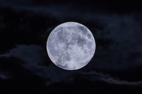 The full moon fights its way through the cloudy sky in the evening in the Rhine-Main area. It is already the second one in August '23 - that doesn't happen often. The so-called Blue Moon or Blue Super Moon is the largest full moon of the year.