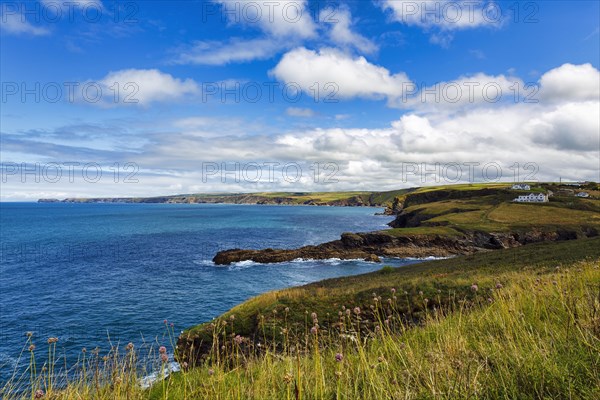 View from the South West Coast Path