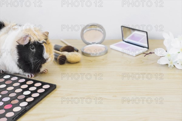 Flower cosmetics products guinea wooden desk