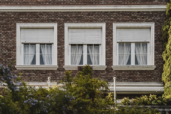 Windows apartment building city