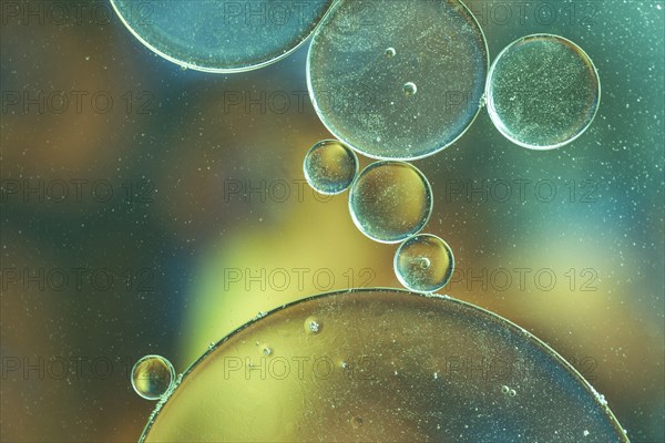 Various abstract bubbles texture