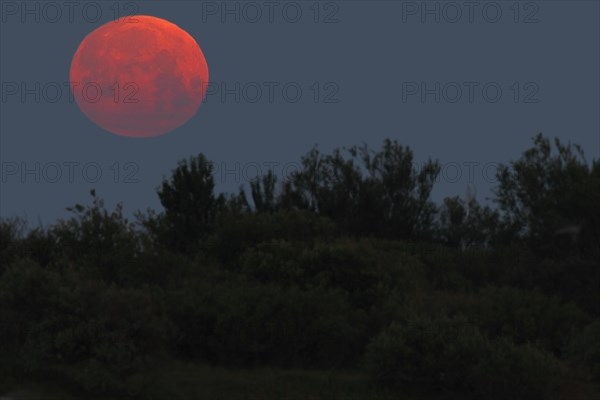 Full moon over the dunes