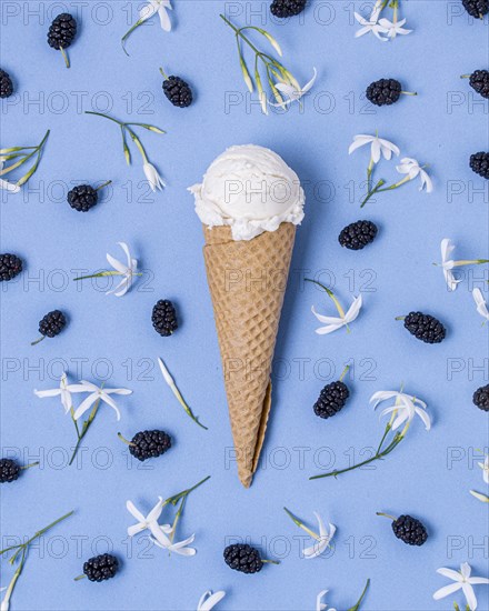 White vanilla ice cream surrounded by blackberries flowers