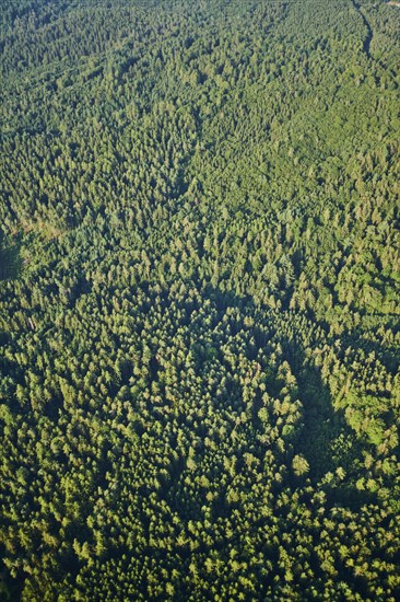 Aerial view over the forests near Woerth an der Donau