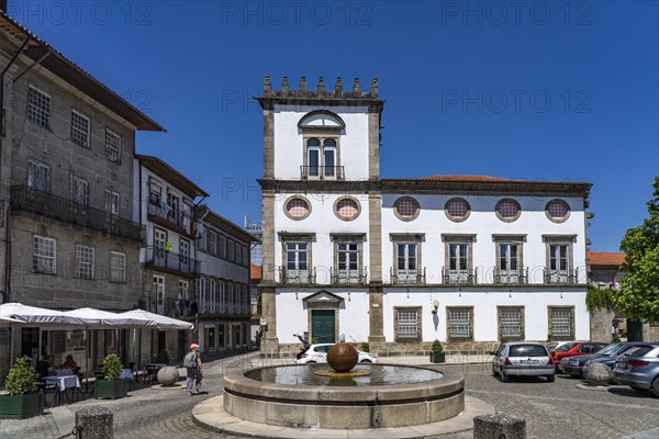 Fountain in the square Largo Joao Franco