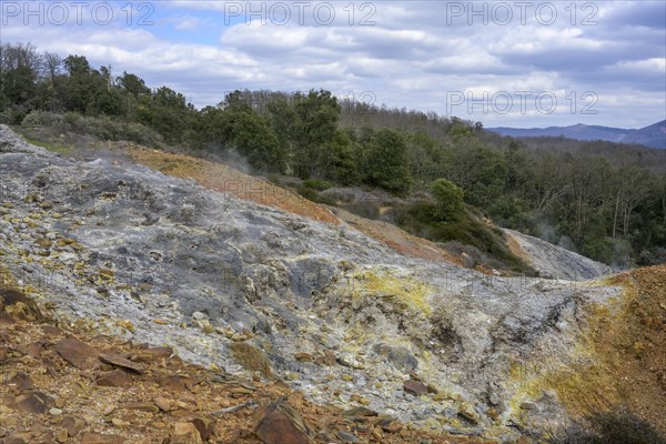 Colourful rubble deposits are surrounded by forest