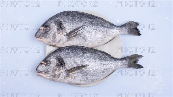 Fresh uncooked seafood fish