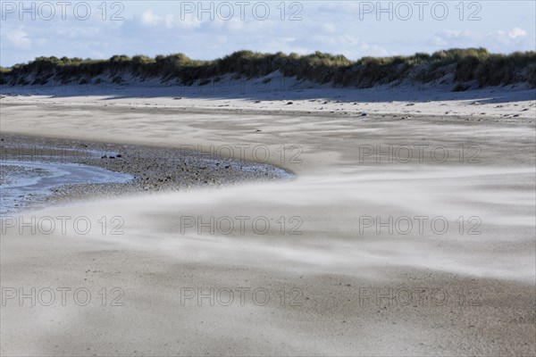Sand drifts on the beach on the island of Minsener Oog