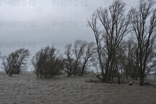 Flooded meadow after a storm surge on the Lower Weser island of Strohauser Plate