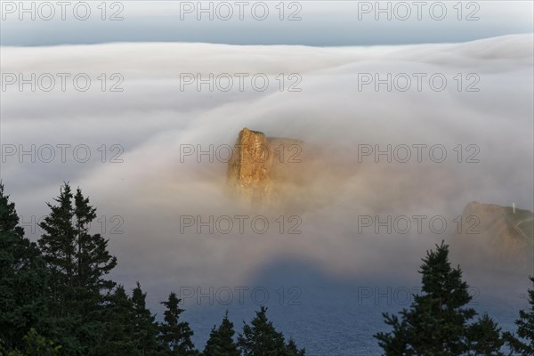 Fog at Perce Rock