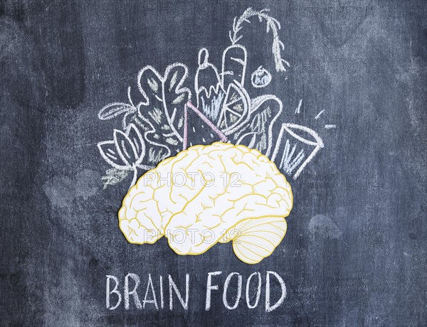 Foods drawn with chalk paper cutout brain chalkboard