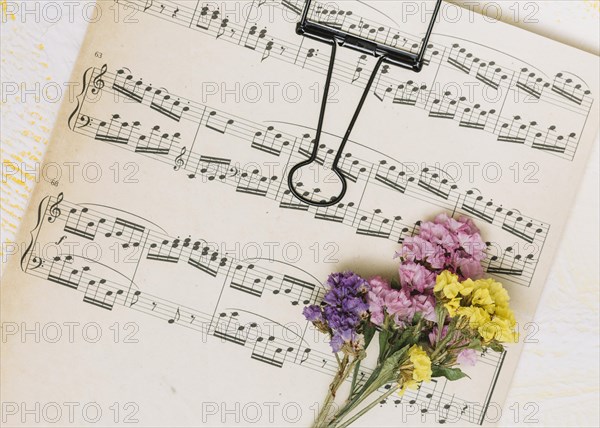 Small bright flowers branches music sheet