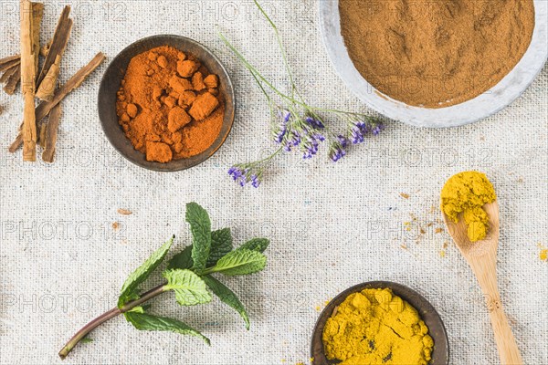 Spices near cinnamon plant twig textile table