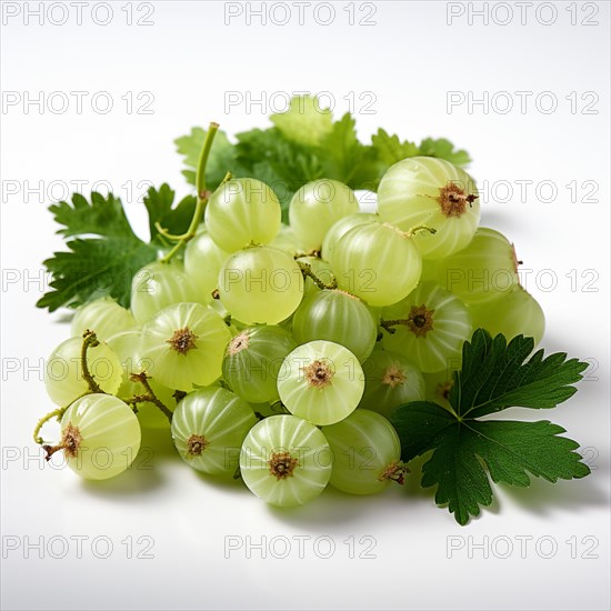 Gooseberries