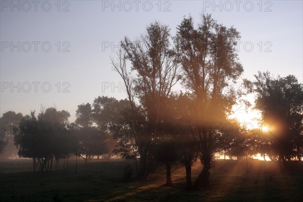 Sunrise over the Weser