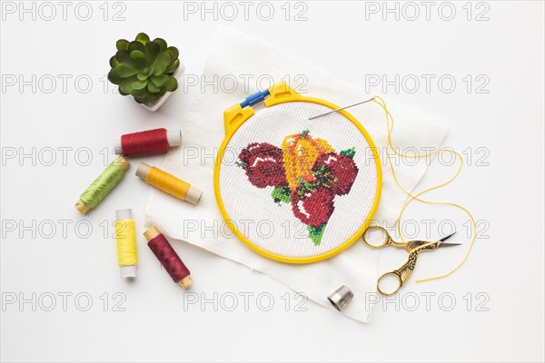 Fruit sewed design with sewing threads plant