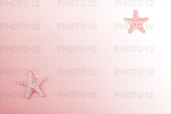 Starfish corner pink gradient background