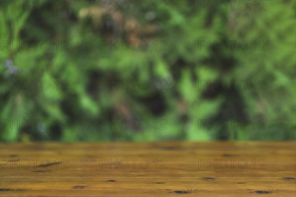 Timber tabletop blurred green background