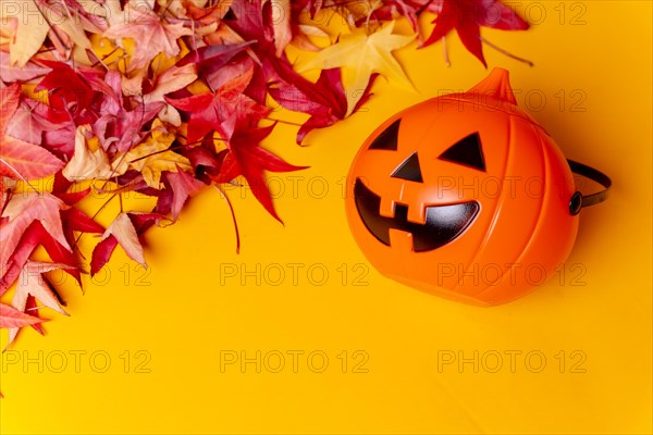 Photo of a Halloween pumpkin on red autumn leaves and a yellow background