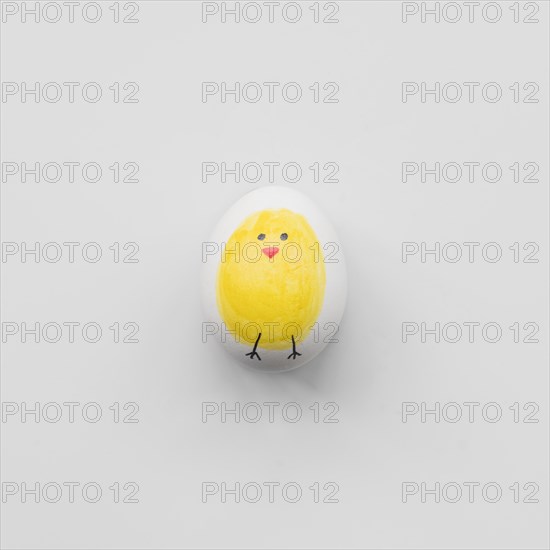 White egg with yellow chicken