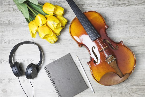 Overhead view tulips diary pencil violin wooden background