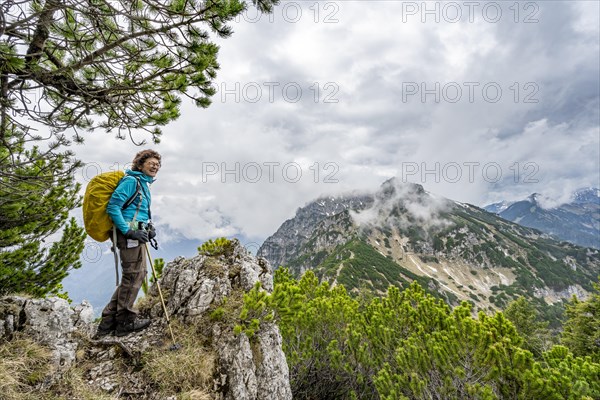 Mountaineer on the ridge of the Katzenkopf covered with mountain pines