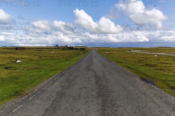 Road leads across high moor