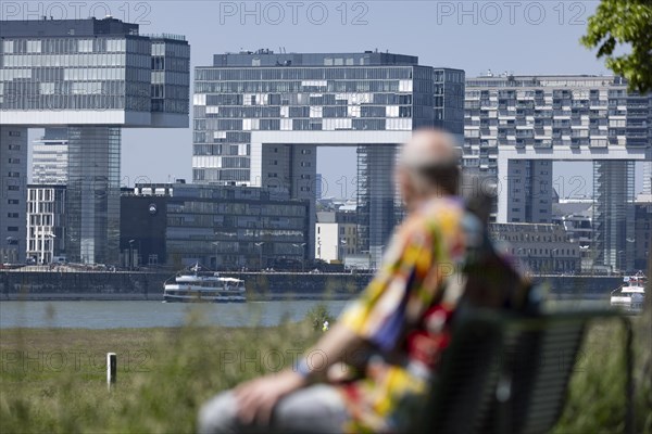 Senior couple sitting on a bench on the banks of the Rhine in front of the crane houses in Cologne's Rheinauhafen harbour on the other bank