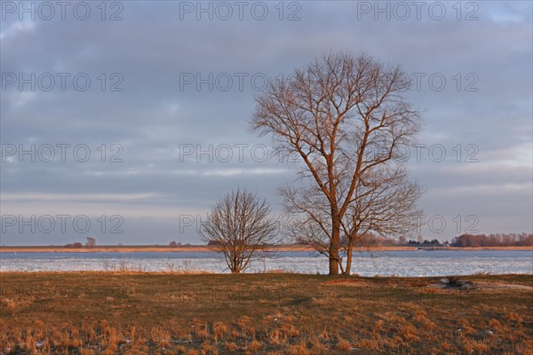 Ice flow on the Weser after the shutdown of the Unterweser nuclear power plant