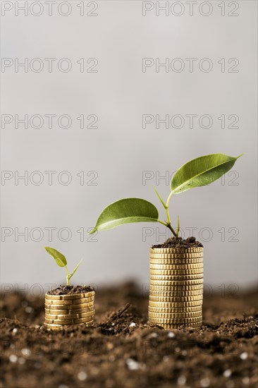 Front view plants with coins stacked dirt copy space