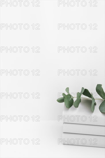 Stack three books with twig white background